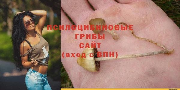 спайс Балабаново