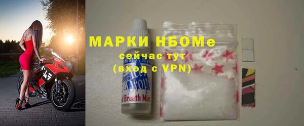 прущие грибы Белокуриха