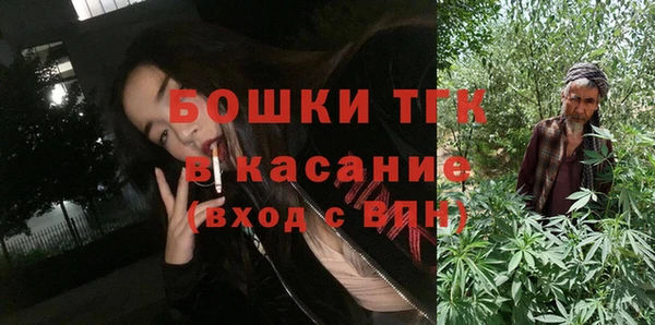 стаф Балахна