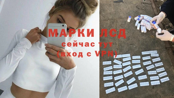 прущие грибы Белокуриха