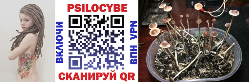 Псилоцибиновые грибы GOLDEN TEACHER  Шагонар 