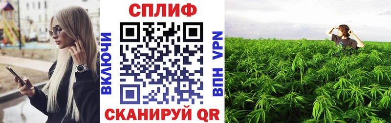 Каннабис LSD WEED  omg ссылка  Шагонар 
